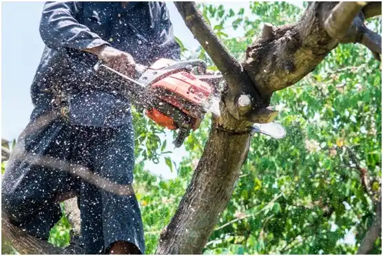 tree services Harrah